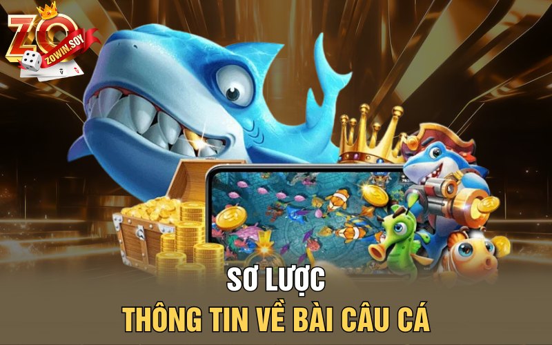 Sơ lược thông tin về bài câu cá